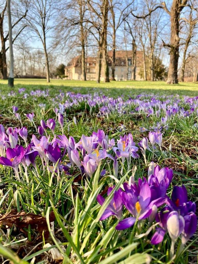 Diegalerie Am Schlosspark Marquardt